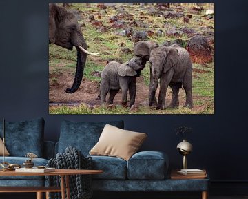 Elefanenfamilie von Peter Michel