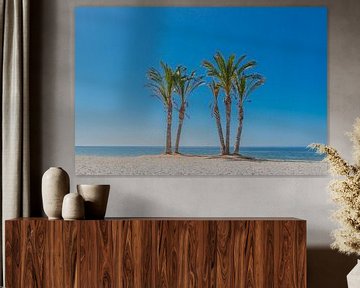 palmboom op het strand van Caroline Drijber