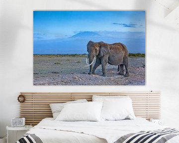 Olifant voor de Kilimanjaro van Peter Michel