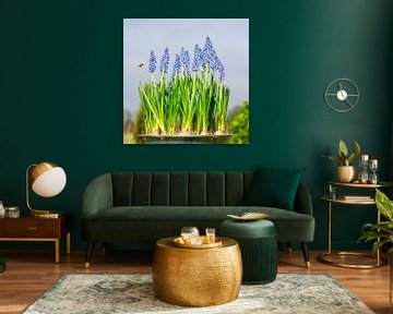 Spring bunch with a happy bee by Hannie Kassenaar