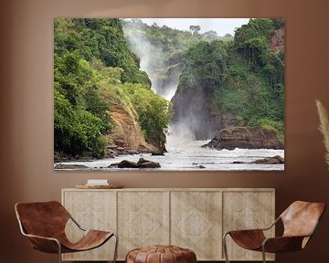 De Murchison watervallen in Uganda
