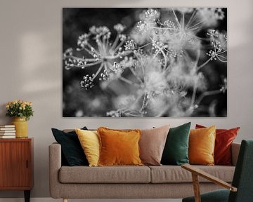 Close up of dill in black and white - photo print by Manja Herrebrugh - Outdoor by Manja