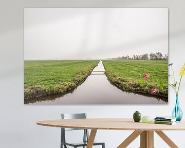 Hollands weiland met slootje in de mist, fotoprint