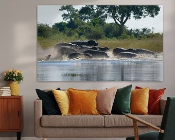 Nilpferde am Ufer in Afrika von Achim Prill