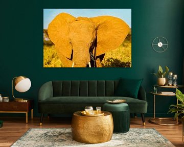 L'éléphant d'Afrique sur Peter Michel