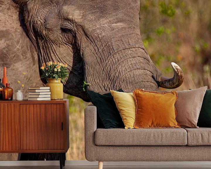 Sfeerimpressie behang: Afrikaanse olifant van Peter Michel