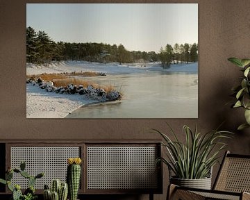 Sneeuw en ijs bij de Bergse Heide in Bergen op Zoom van Sabina Meerman