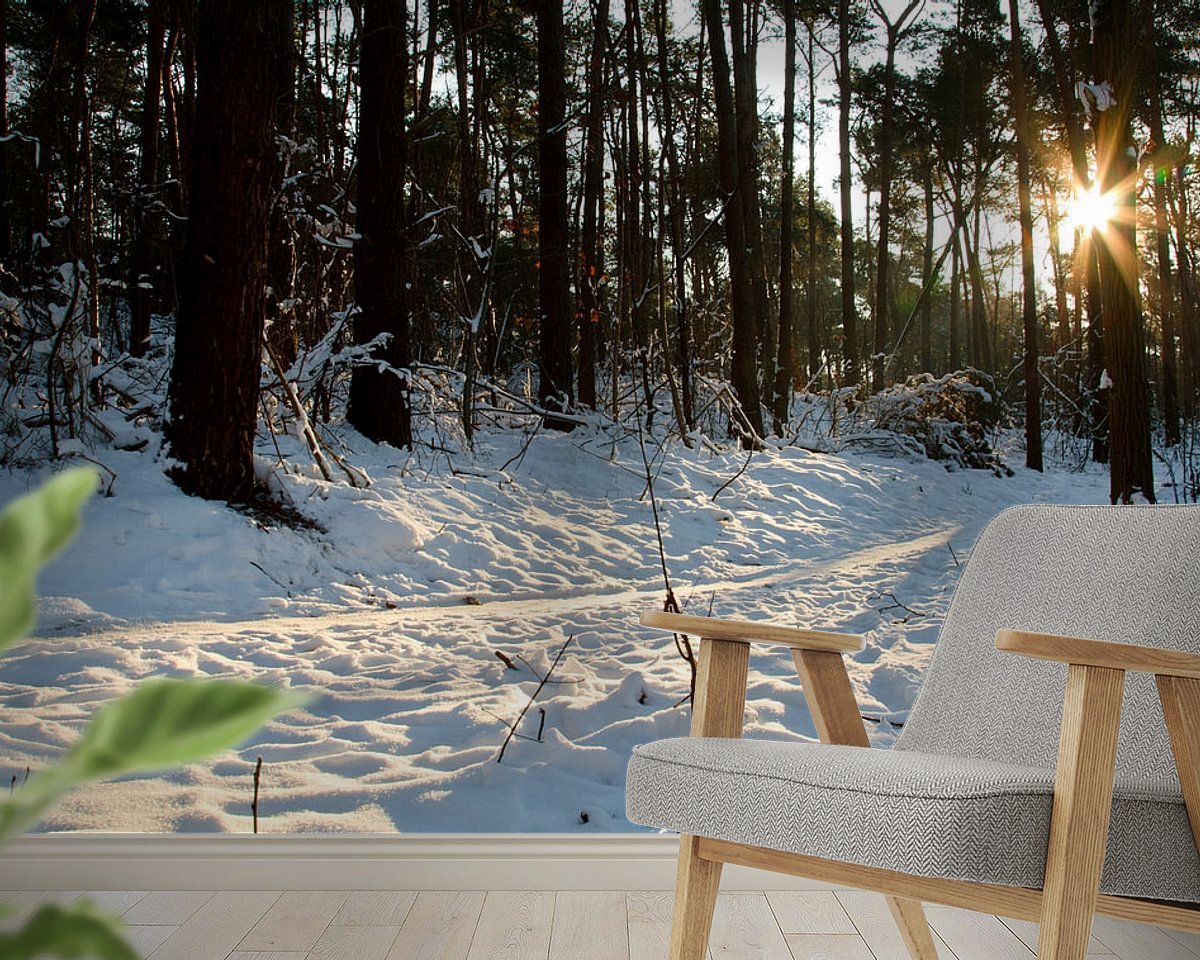Raumvorschau