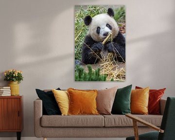 Panda by Heiko Lehmann
