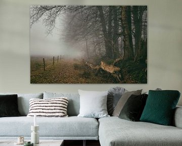 Misty forest landscape with fencing