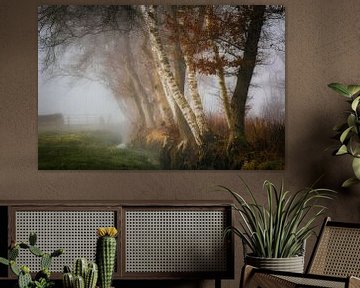 Paysage en bordure de forêt avec fossé et clôture dans le brouillard