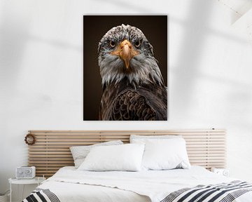 Bald Eagle closeup by Patrick van Bakkum