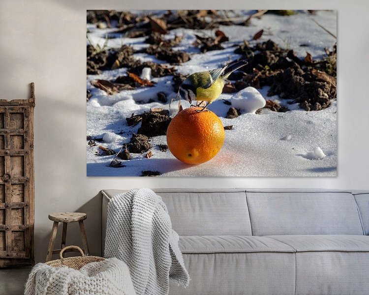 Aperçu de la chambre