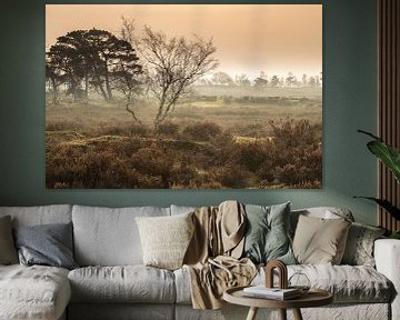 Sunrise on the Kalmthoutse Heide by René Groenendijk