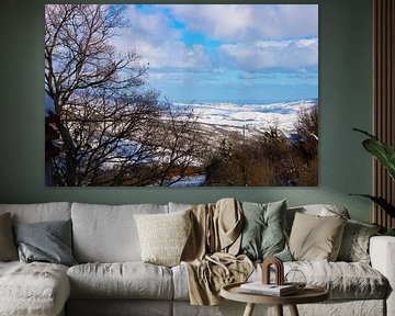 Sunny snow landscape
