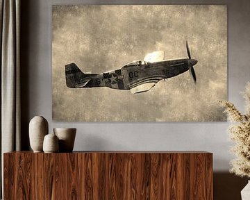 Mustang P-51D-30-NA von Pieter van Dijken