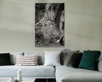 L'amour entre deux Lions pendant les jours de mariage. sur Louis en Astrid Drent Fotografie