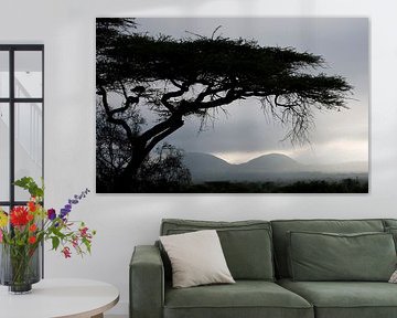 View over Tsavo-West in the early morning. by Louis en Astrid Drent Fotografie