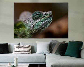 Portrait, close-up of a chameleon in pink and green colours. by Louis en Astrid Drent Fotografie