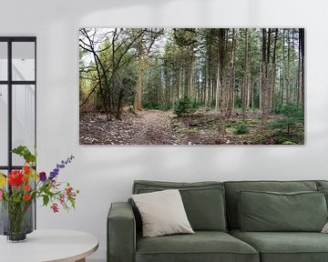 Veluwe-Landschaft im Panorama von Gerard de Zwaan