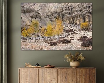 Arbres jaunes en automne dans l'Himalaya au Népal. sur Photolovers reisfotografie