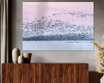 Opvliegende vogels Sneekermeer bij zonsopkomst van Margreet Riedstra