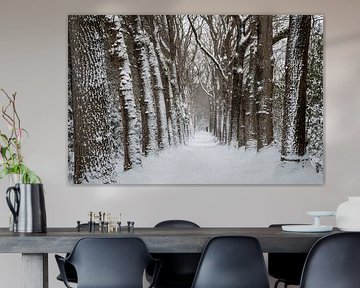 Snowy trees