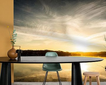 Baldeneysee in Essen mit Schwan im Winter im Gegenlicht bei Sonnenuntergang von Dieter Walther