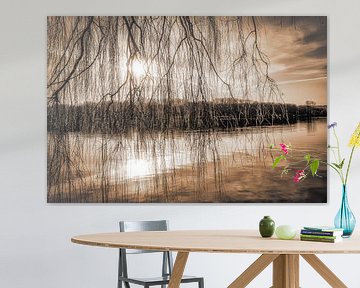 Saule pleureur au Baldeneysee en rétro-éclairage au coucher du soleil en ton sépia sur Dieter Walther