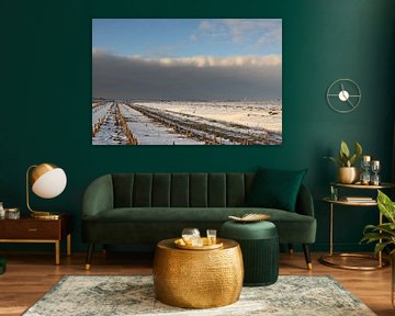 Stoppels in de winter