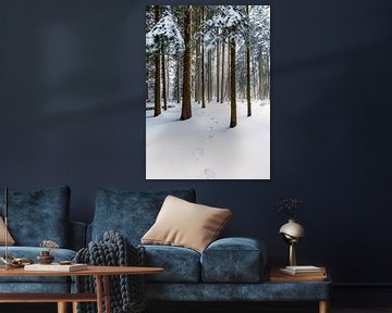 Voetstappen in de sneeuw, bos in Nederland van Sebastian Rollé - travel, nature & landscape photography