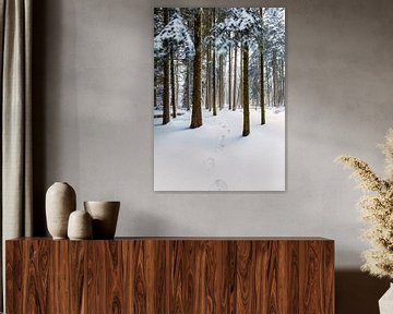 Voetstappen in de sneeuw, bos in Nederland van Sebastian Rollé - travel, nature & landscape photography
