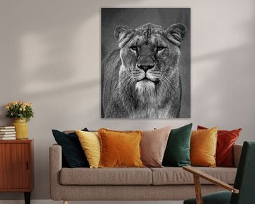 Lioness in black and white by Marjolein van Middelkoop
