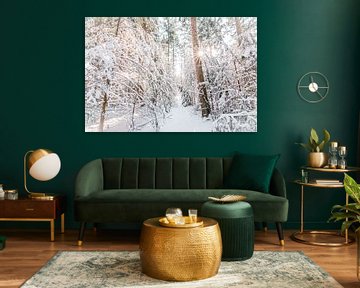 Winter wonderland van Mirjam Van Houten