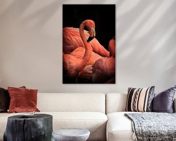 Portrait Flamingos by Mirjam Van Houten