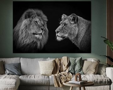Leeuw en leeuwin koppel in zwart-wit