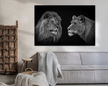 Löwenpaar in Schwarz und Weiß