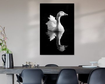 Zwart-wit portret van een gans in het water van Evelien Oerlemans