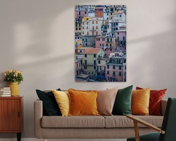Colored houses in Cinque Terre by Felix Van Lantschoot