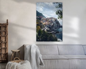Uitkijkpunt op Manarola, Cinque Terre van Felix Van Lantschoot