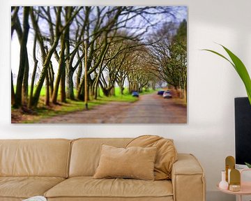 Boomstilleven met auto's