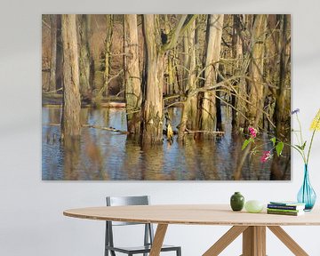 Boomstammen in het water in de Biesbosch van FotoGraaG Hanneke