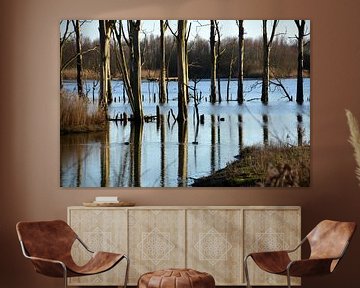 Lignes de troncs d'arbres dans l'eau du Biesbosch