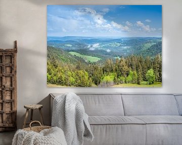 Blick über den Schwarzwald in Deutschland von Animaflora PicsStock