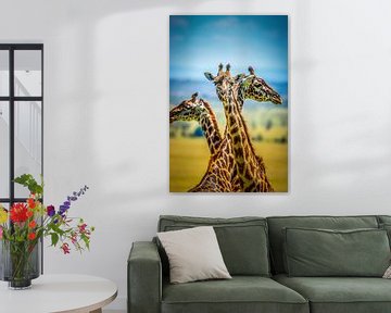 Portret van 3 griraffes van Erwin Floor