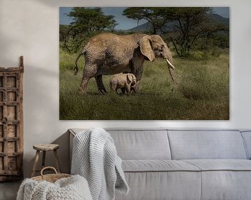Elefant mit jungem Kalb von Erwin Floor