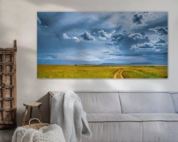 Savanne Landschaft mit Wolken von Erwin Floor
