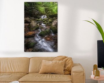 Wasserfall im Jura in Frankreich von Dennis Mulder