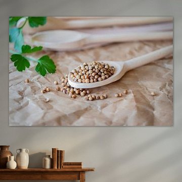 Coriander seed by SuparDisign