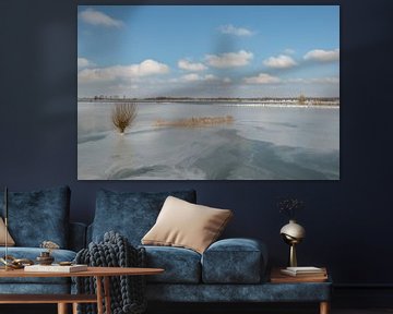 Bevroren landschap van Moetwil en van Dijk - Fotografie